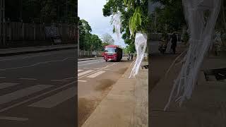 LATEST ASHOK LEYLAND LYNX 4200 GOVERNMENT SLTB SMALL BUS IN SRI LANKA [upl. by Burg]