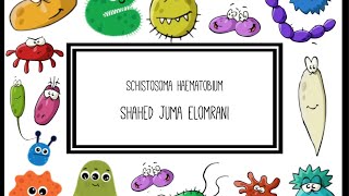 Schistosoma Haematobium [upl. by Arayc]