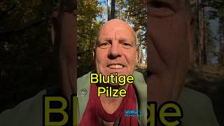 Blutige Pilze [upl. by Ancier]