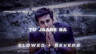 TU JAANE NA SLOWED REVERB truecouple143 [upl. by Egni]