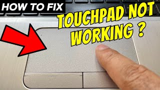 How To Fix Laptop Touchpad Not Working on Windows 1011 [upl. by Colson30]