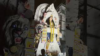 Chandon nagar jagodhatri puja short shortvideo [upl. by Drolet]