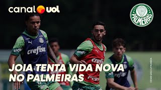 PALMEIRAS JOIA TENTA VIDA NOVA NO CLUBE APÓS 20 MESES PARADO E MESMA LESÃO DE ABEL [upl. by Oos]