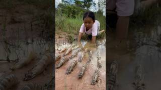 Survival Skills single mom with shrimp skills in forest survival camping bushcraft outdoors [upl. by Beller737]