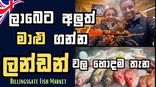 එංගලන්තයේ අඩුම මිලට අලුත් මාළු  UKs Largest Fish Market  Billingsgate Fish Market in London [upl. by Quintilla]