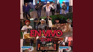 El Bimbo feat Capotes En vivo [upl. by Yarased]