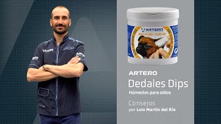 Dips Oidos consejos by Luis Martín del Rio Product Manager Artero [upl. by Ahsetel]