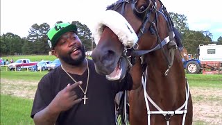 Unloading Standardbred Horses at 9th Annual quotPigquot Booth Trail Ride [upl. by Reffinej969]