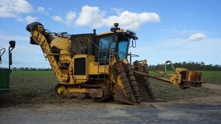 1995 Cameco Full Track Cane Harvester CHT 2500 [upl. by Iadam]