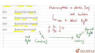 What is true about phytochrome [upl. by Breanne750]