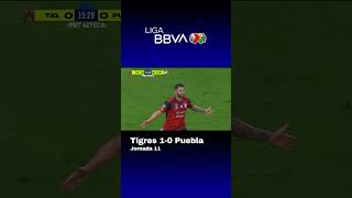 Tigres vs Puebla  Resumen Goles  Jornada 11  Liga BBVA MX [upl. by Latia]