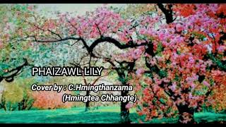 Phaizawl Lily  Cover by Hmingtea Chhangte [upl. by Eiramanit]