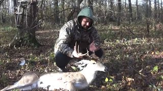 Close Range First Bow Kill [upl. by Etnecniv]