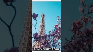 PARIS AIRPORT TRANSFERS httpsdisneyshuttlecom cheapest private transfer paris minivan …… [upl. by Akimahc]