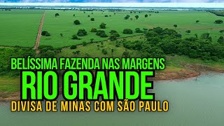 FAZENDA À VENDA DANDO RENDA NAS MARGENS DO RIO GRANDE DIVISA DE MG COM SP [upl. by Irrot]