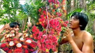 Mag mukbang naman ako ng Rambutan fruits dito sa gubat mga katapang [upl. by Yespmed]