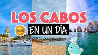 Los Cabos en un día tour básico en Cabo San Lucas [upl. by Haidabej]