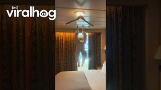 Cruise Ship Housekeeper Makes a Towel Monkey For Guests  ViralHog [upl. by Stewart925]