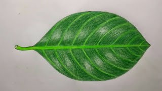 How to draw a jackfruit leaf  draw jackfruit leaf  art jackfruit leaf  কাঁঠালগাছের পাতা অঙ্কন [upl. by Rheingold769]