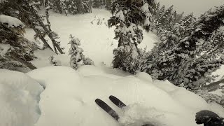 Blackcomb pow laps [upl. by Eecyaj]