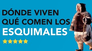 Dónde VIVEN y QUÉ COMEN los ESQUIMALES 🤔 ¡INCREÍBLE [upl. by Llenrac]