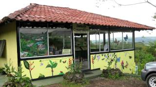 Butterfly Conservatory in Arenal Costa Rica [upl. by Bancroft223]