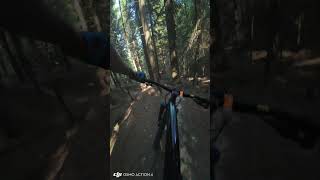 Natural Enduro  Nowy Sącz Poland bike mtb forest mtblife trails tech [upl. by Marga]