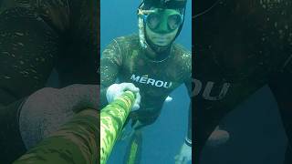 Onoff amberjack spearfishing [upl. by Cecilla646]