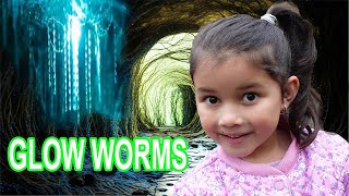 The Glow Worm Tunnel With Zoe [upl. by Baler]