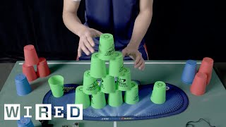 This is FAST Cup Stacking  WIRED [upl. by Dirtsa]