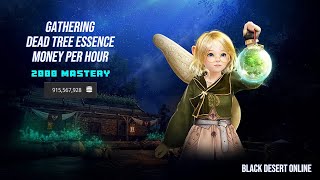 BDO Gathering  Dead Tree Essence  2000 Mastery  Money Per Hour  2024 [upl. by Adnaloy]