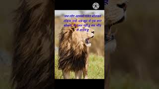 Best motivational quotesmotivational success hindi status [upl. by Asylla]