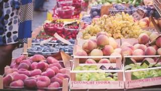 Food amp Walking Tour Bologna  Amazing Italy Travel [upl. by Loredo324]