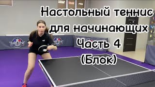 Настольный теннис для начинающих🏓 tabletennis настольныйтеннис pingpong playing russia [upl. by Ecirtael]