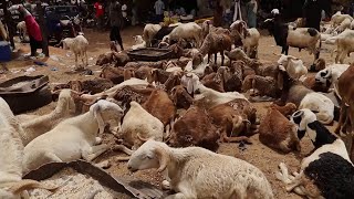 High prices tension in Niger cast shadow over Eid [upl. by Mehetabel]