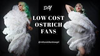 DIY Low cost ostrich fan tutorial [upl. by Azile]