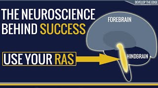 The Neuroscience of success  Use your Reticular Activating System RAS [upl. by Engle]