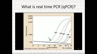 Real Time PCR  Part 3 [upl. by Hillier]