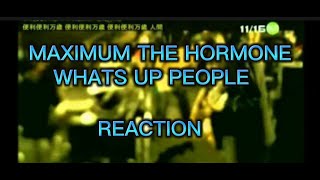 MAXIMUM THE HORMONE WHATS UP PEOPLE REACTION reactionvideo guitar metal reaction [upl. by Adamok]