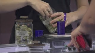 Akron works with marijuana dispensaries to ensure compliance [upl. by Welch]