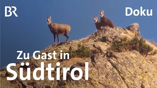 Berggasthöfe und Buschenschänken in Südtirol  Unter unserem Himmel  BR  Doku  Berge [upl. by Cychosz]