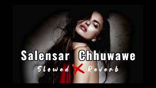 Bhatar Jab Salensar Chuwawe LoFiSong Slowed and Reverb awdheshpremibhojpurinewvideo [upl. by Danuloff807]