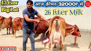 26 लीटर तक दूध 31000₹ से कीमत शुरू 👍 15 Cow Available For sale 👌 Gir Sahiwal Cholistani Rathi Breed [upl. by Nylemaj]