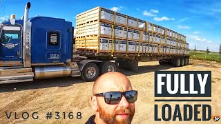 FULLY LOADED  My Trucking Life  Vlog 3168 [upl. by Einnok]