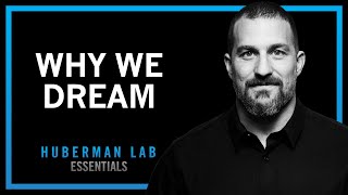 Understand and Use Dreams to Learn and Forget  Huberman Lab Essentials [upl. by Mannie]