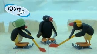 Pingu Pingu Plays Hockey [upl. by Hazel600]