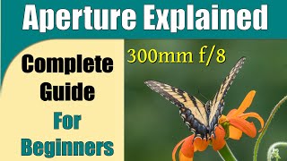 Aperture Explained A Complete Guide for Beginners ep364 [upl. by Ymeon]