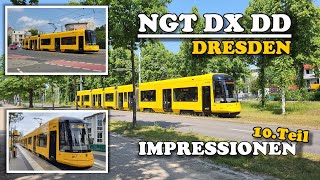 Straßenbahn Dresden  NGT DX DD Impressionen im Liniendienst Teil 10 [upl. by Joceline768]