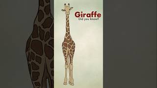 giraffe kidsdrawing drawing animals howtodraw facts factsforkids educational [upl. by Wanda]