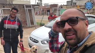 Pet care  Is Labrador Retrievers Dangerous Or Safe For Family BholaShola  Harwinder Singh Grewal [upl. by Llarret]